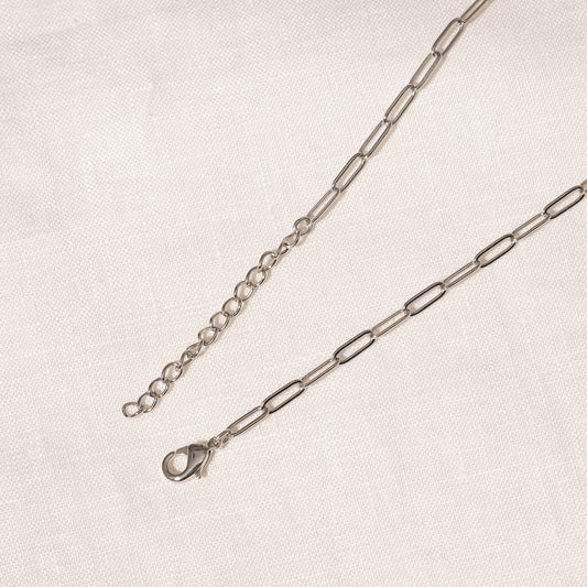 Gaspar Long Necklace (Silver Brass)
