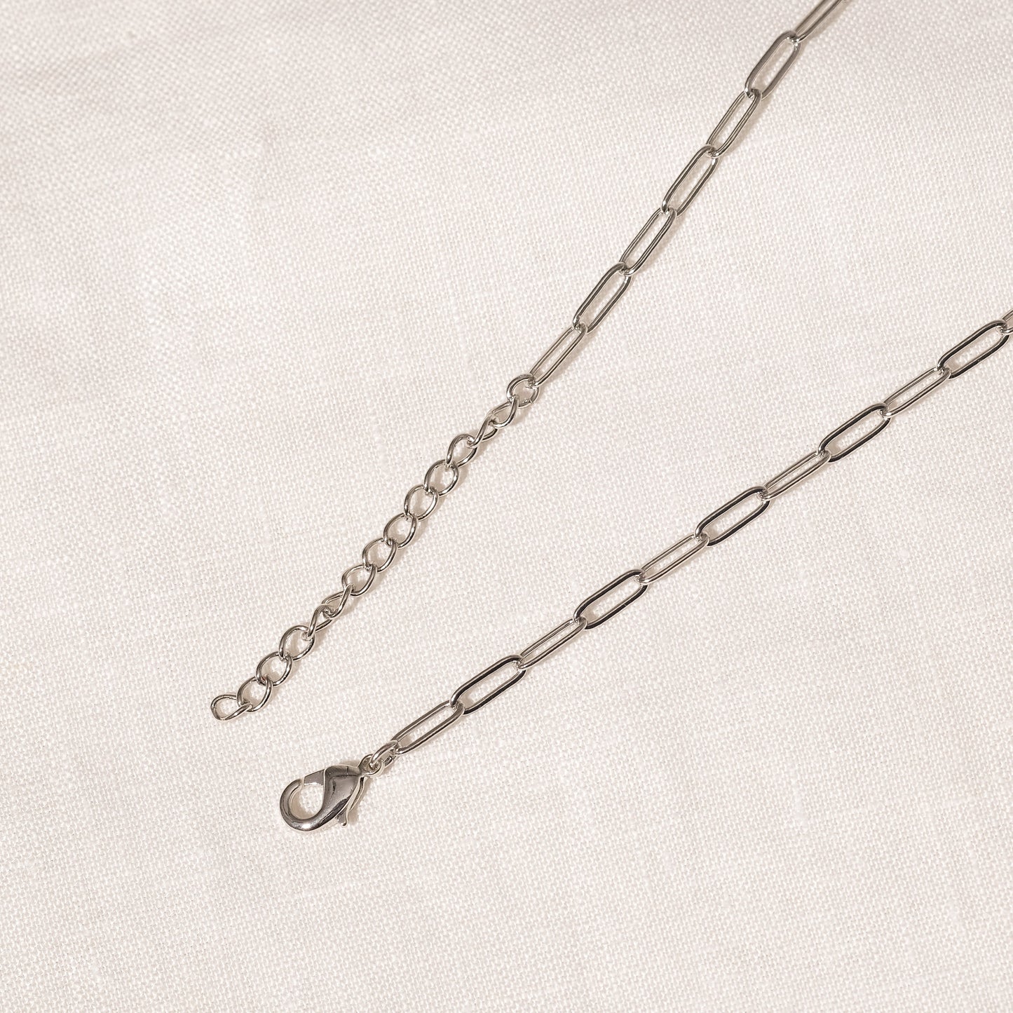 Gaspar Long Necklace (Silver Brass)